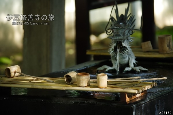 (分享東京近郊景點,圖文多)2010河口湖芝櫻祭+伊豆修善寺虹之鄉之旅