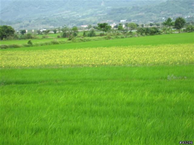 2010年4月橫跨5月之【拖了很久才發文的環島之旅】