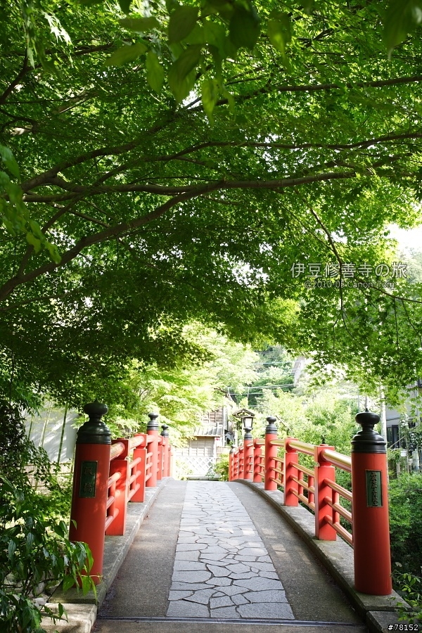 (分享東京近郊景點,圖文多)2010河口湖芝櫻祭+伊豆修善寺虹之鄉之旅