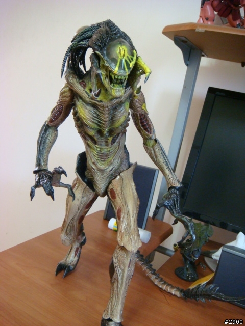 HOT TOYS 1/6比例日本限定完全版BOX AVP2 戰損終極異形