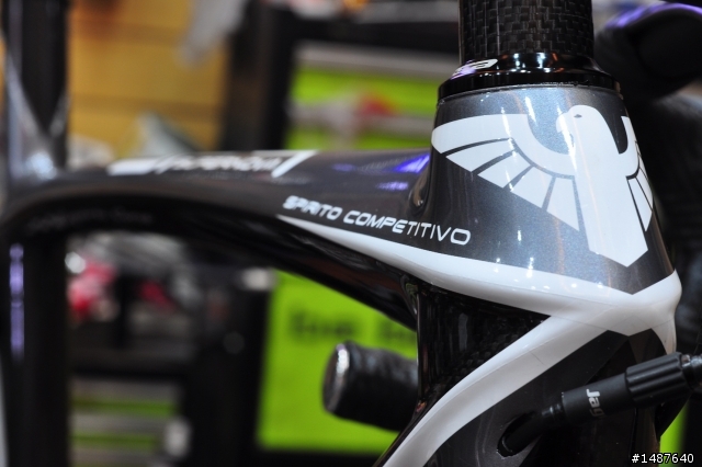 [分享] BOTTECCHIA SP9 CAMPAGNOLO CHORUS FRAME 〝48〞 ROAD BIKE
