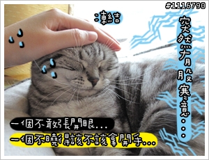 [貓的二三事]醋桶TT