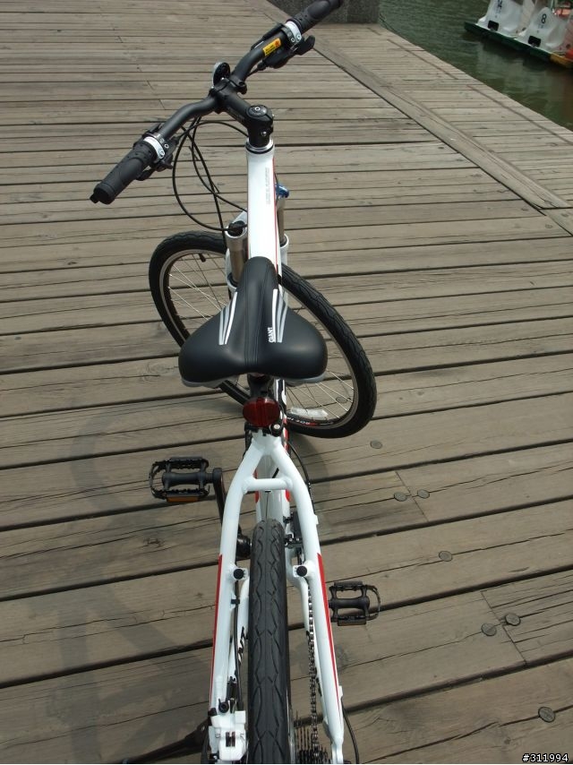 2011 GIANT TALON DISC 紅白
