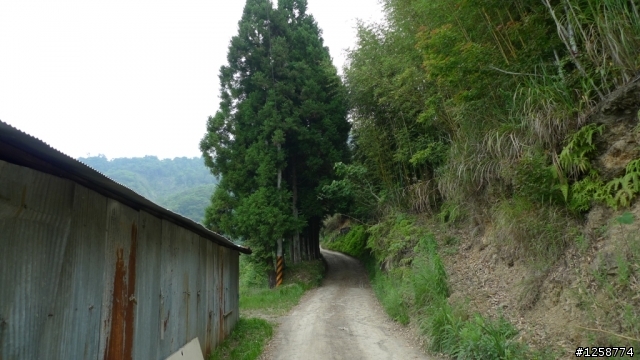 [探路]尋幽踏古探路行－武道能敢。馬美。玉峰