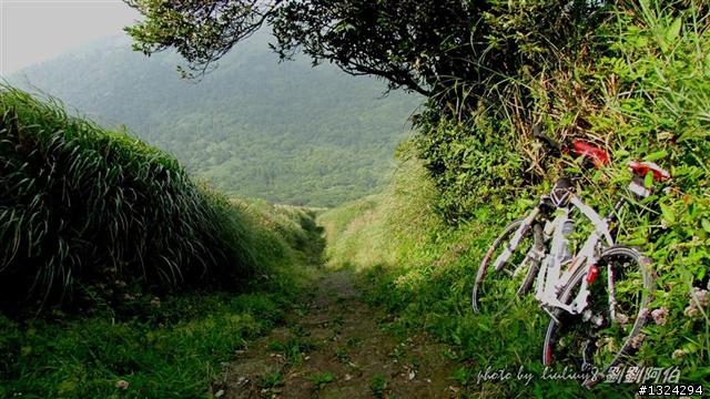 陽明山蝴蝶季搶先看(大屯山、二子坪、冷水坑)
