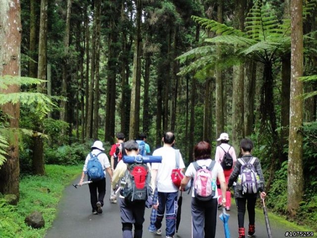 (照片)20100508溪頭天文台登山健行