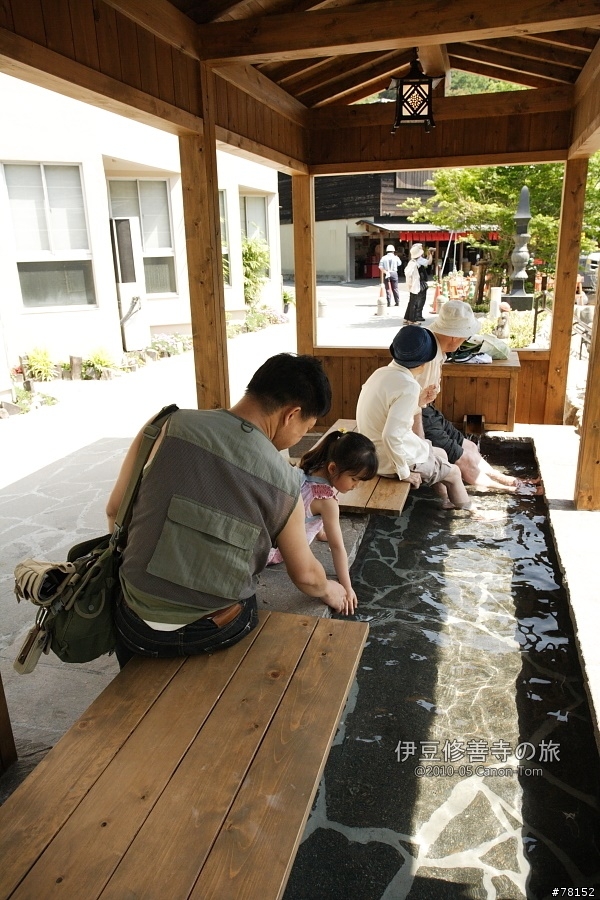 (分享東京近郊景點,圖文多)2010河口湖芝櫻祭+伊豆修善寺虹之鄉之旅
