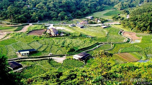 陽明山蝴蝶季搶先看(大屯山、二子坪、冷水坑)