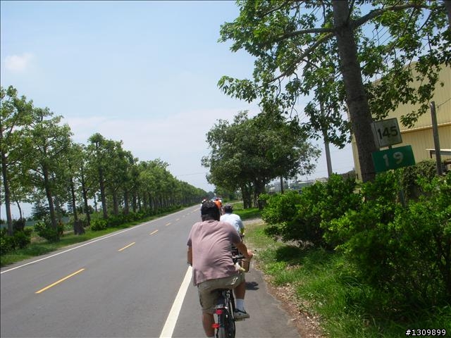 虎尾媽媽環鎮單車漫遊