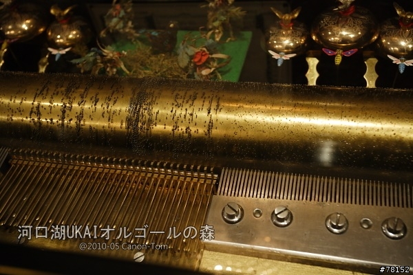 (分享東京近郊景點,圖文多)2010河口湖芝櫻祭+伊豆修善寺虹之鄉之旅