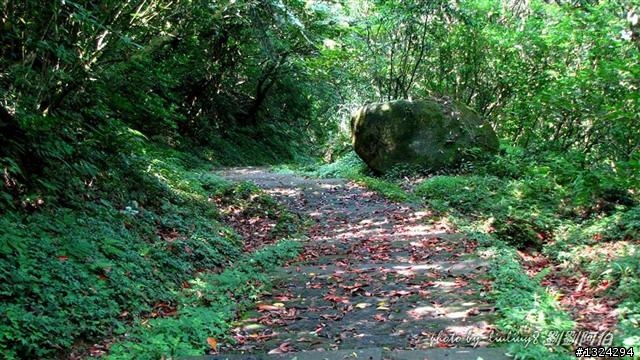 陽明山蝴蝶季搶先看(大屯山、二子坪、冷水坑)