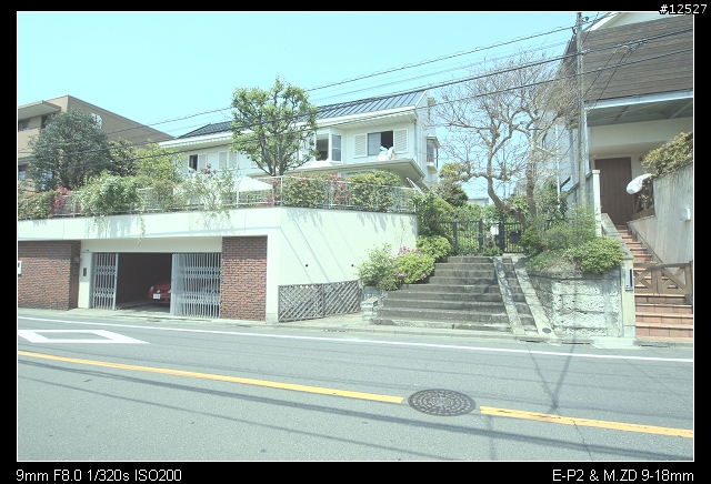 M.ZD 9-18 東京隨手拍 (圖多)