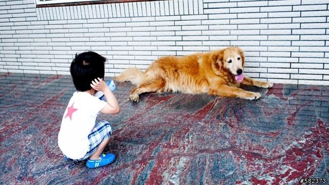 小朋友蓋大樓