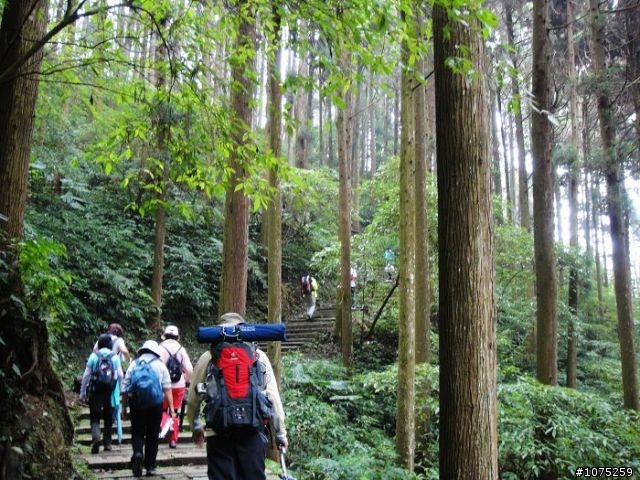(照片)20100508溪頭天文台登山健行