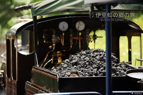 (分享東京近郊景點,圖文多)2010河口湖芝櫻祭+伊豆修善寺虹之鄉之旅