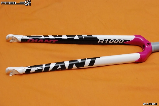 我的畢業作品之一，GIANT R1000隱藏版