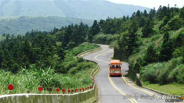 陽明山蝴蝶季搶先看(大屯山、二子坪、冷水坑)