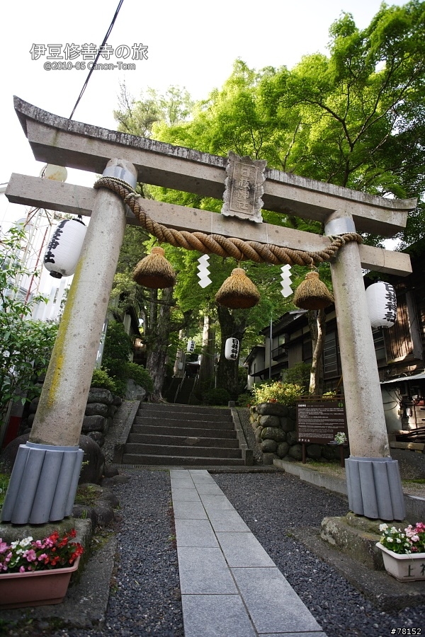 (分享東京近郊景點,圖文多)2010河口湖芝櫻祭+伊豆修善寺虹之鄉之旅
