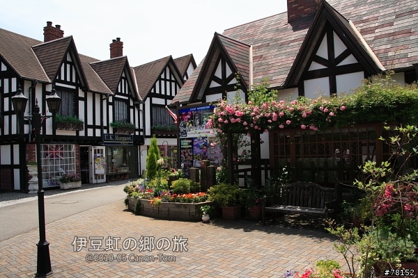 (分享東京近郊景點,圖文多)2010河口湖芝櫻祭+伊豆修善寺虹之鄉之旅