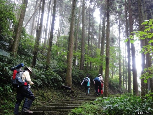 (照片)20100508溪頭天文台登山健行