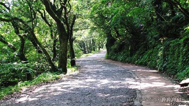 陽明山蝴蝶季搶先看(大屯山、二子坪、冷水坑)