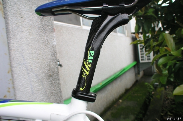 cannondale CAAD9 液態瓦斯版 1-N級套件混搭拼裝車+聰哥聰明手編輪