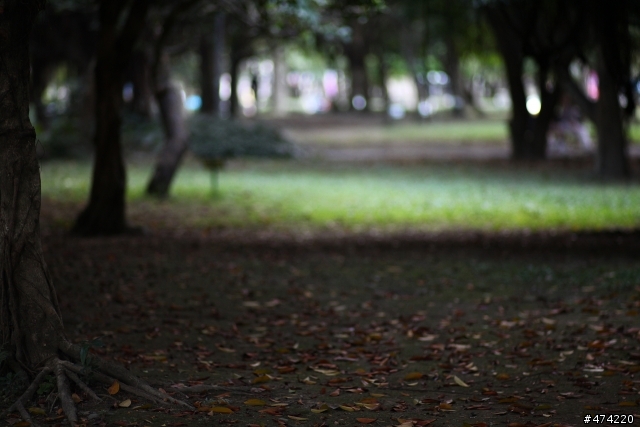 當5d2 遇上 contax c/y 135F2 德鏡