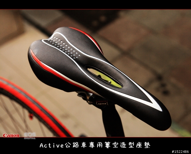 我的自組入門公路車 雖然他不高檔