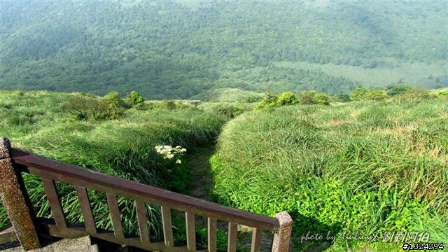 陽明山蝴蝶季搶先看(大屯山、二子坪、冷水坑)
