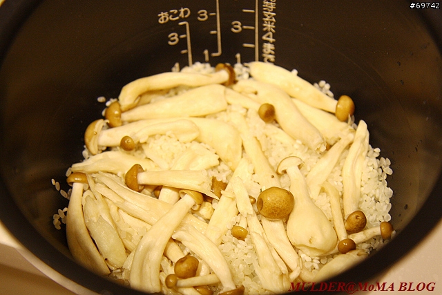 [MoMo桑分享] 象印炊飯器/電子鍋 NP-NA10-XJ：今晚就來鍋香甜白米飯吧 !!