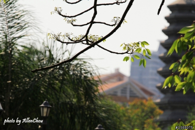 新歡EF 70-200mm f/4L IS USM 小小白IS 初體驗