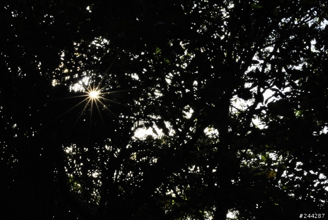 Nikon D3000 象山拍攝