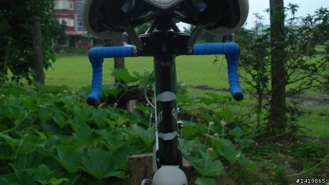 真的是好車2011 TCR COMP1