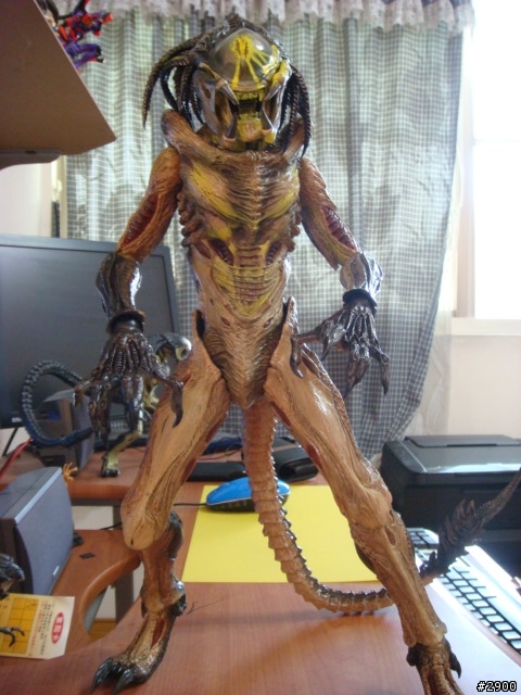 HOT TOYS 1/6比例日本限定完全版BOX AVP2 戰損終極異形