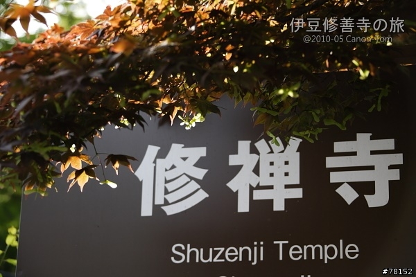 (分享東京近郊景點,圖文多)2010河口湖芝櫻祭+伊豆修善寺虹之鄉之旅