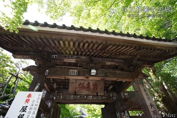 (分享東京近郊景點,圖文多)2010河口湖芝櫻祭+伊豆修善寺虹之鄉之旅