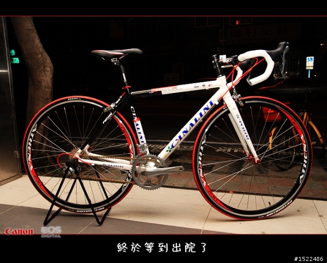 我的自組入門公路車 雖然他不高檔
