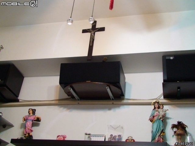 有一隻鳥 飛到我家客廳