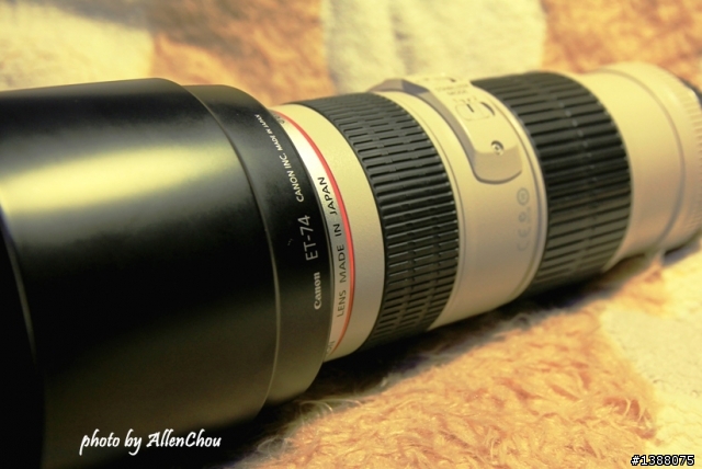 新歡EF 70-200mm f/4L IS USM 小小白IS 初體驗