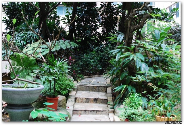 {開箱}  廣角配接鏡 Nikon NH-WM75 + Nikon 35mm F1.8