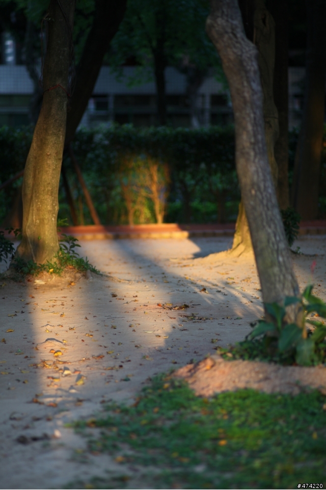 當5d2 遇上 contax c/y 135F2 德鏡