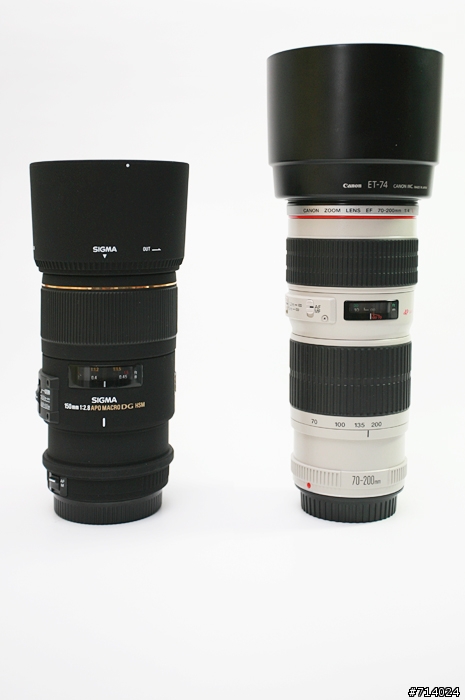 [分享]Sigma 150mm F2.8 MACRO 簡易開箱+實拍