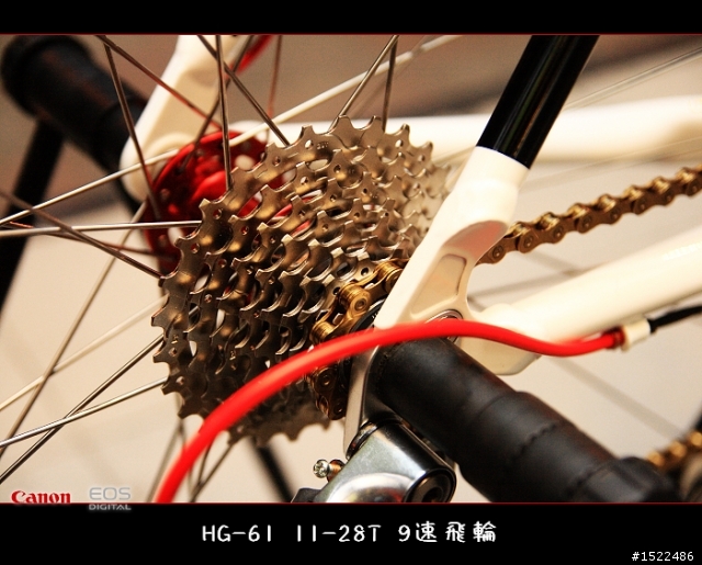 我的自組入門公路車 雖然他不高檔