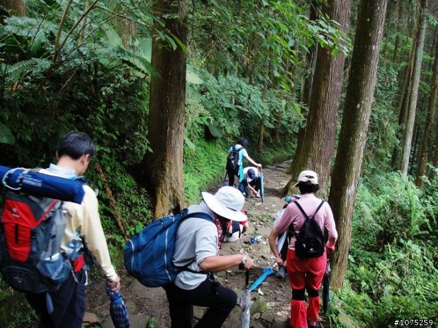 (照片)20100508溪頭天文台登山健行