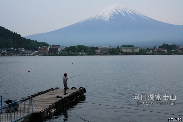 (分享東京近郊景點,圖文多)2010河口湖芝櫻祭+伊豆修善寺虹之鄉之旅