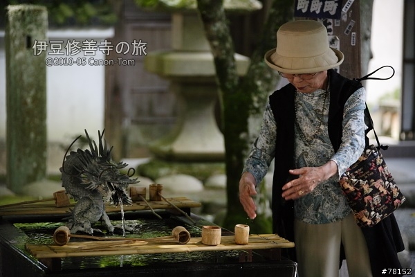 (分享東京近郊景點,圖文多)2010河口湖芝櫻祭+伊豆修善寺虹之鄉之旅