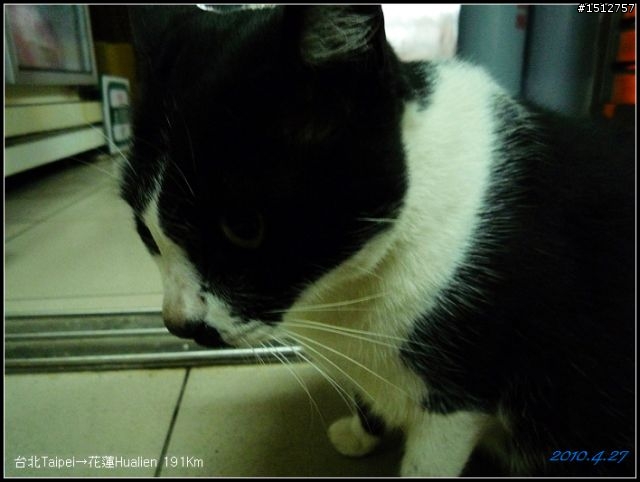 《2010.4.25~4.29》─【一段五天四夜的流浪】