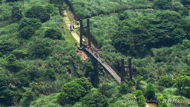 陽明山蝴蝶季搶先看(大屯山、二子坪、冷水坑)