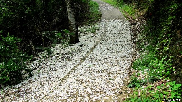 獨闖龍、虎雙潭