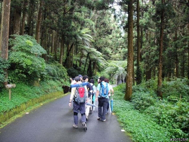 (照片)20100508溪頭天文台登山健行